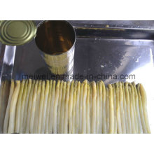 800g Canned White Asparagus with Best Quality